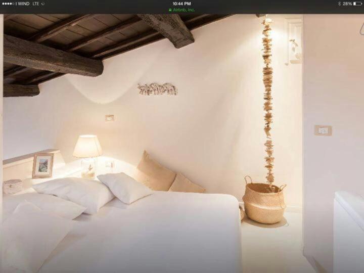 Navona Lovely Penthouse 로마 외부 사진